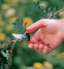 Lee Valley Pruners>Forged Pocket Pruner