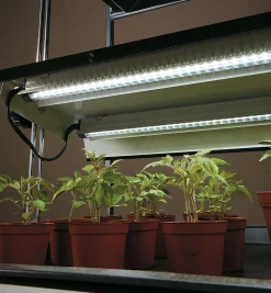 Lee Valley Grow Lights>Full-Spectrum LED Grow Lights