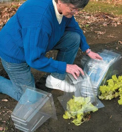 Lee Valley Plant Protection><noscript><img width=