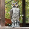 Lee Valley Pest Control>Garden Scare Owl