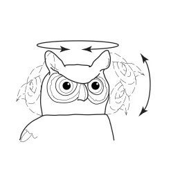 Lee Valley Pest Control>Garden Scare Owl