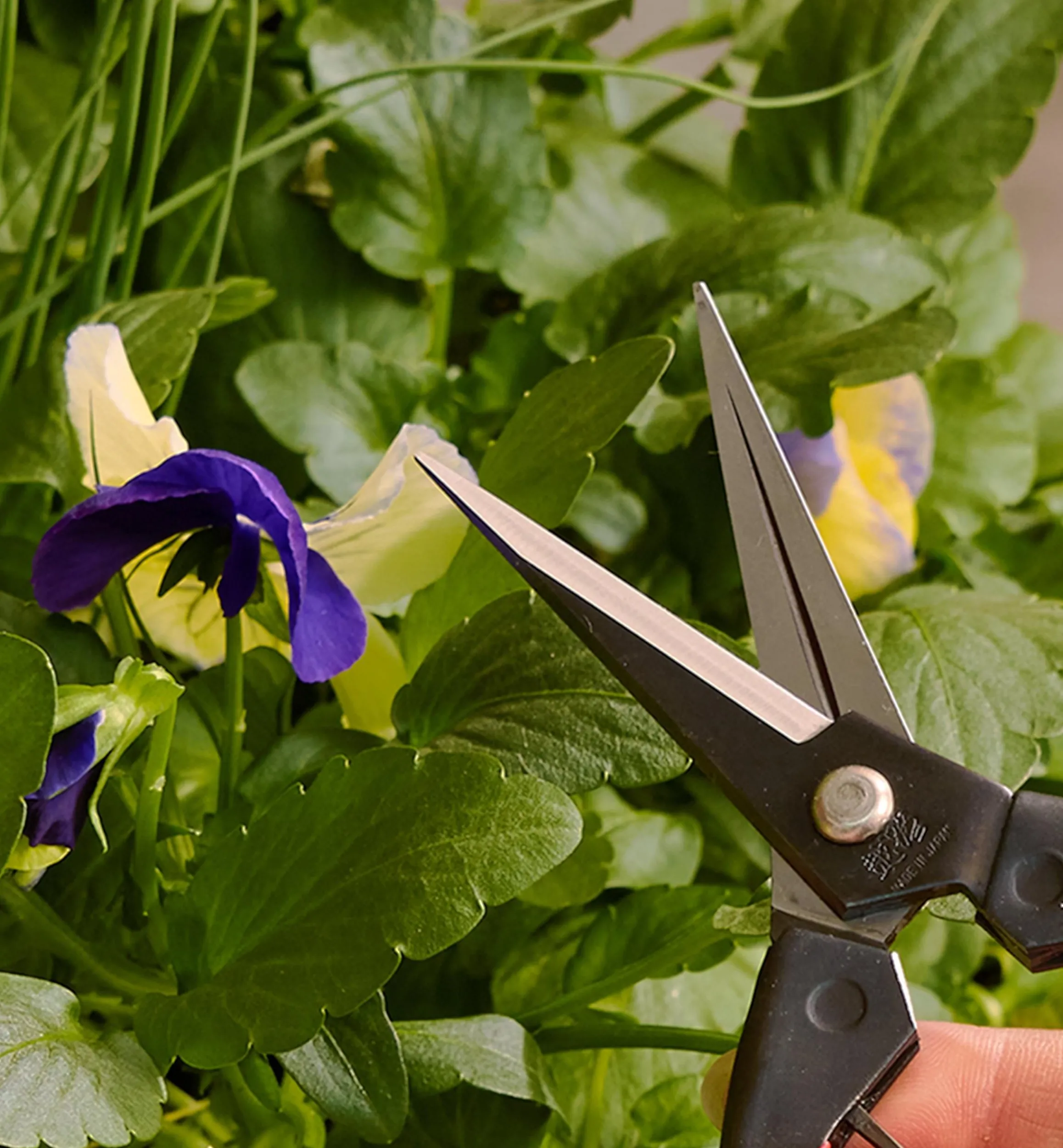 Lee Valley Garden Care>Garden Snips