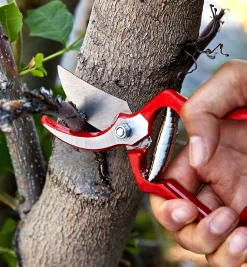 Lee Valley Pruners>General-Purpose Pruner & Shears Set