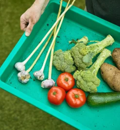 Lee Valley Seed Starting><noscript><img width=