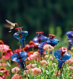 Lee Valley Birding>Glass Flower Hummingbird Feeder