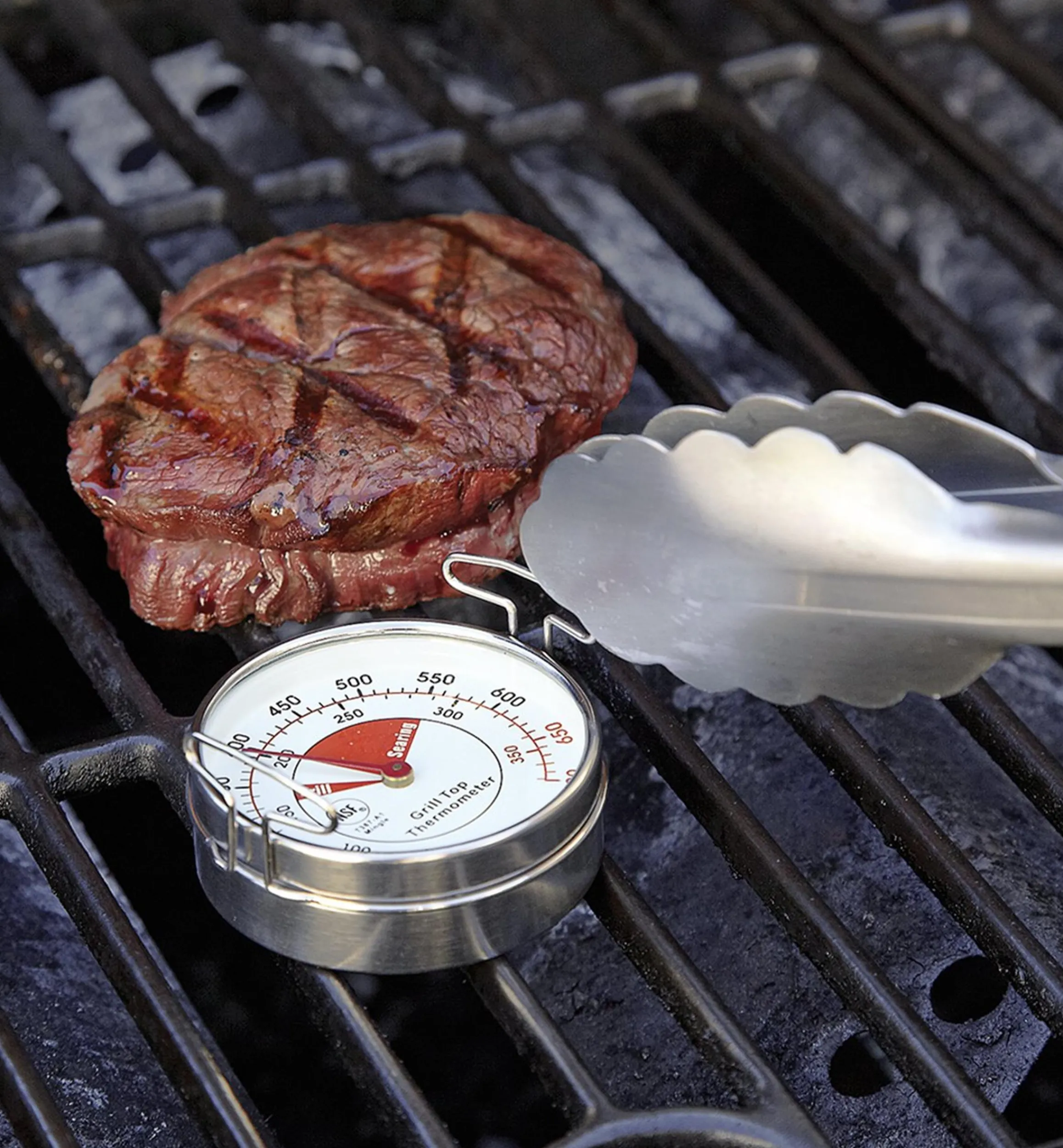 Lee Valley Thermometers>Grill-Surface Thermometer