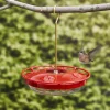 Lee Valley Birding>Hanging Hummingbird Feeder
