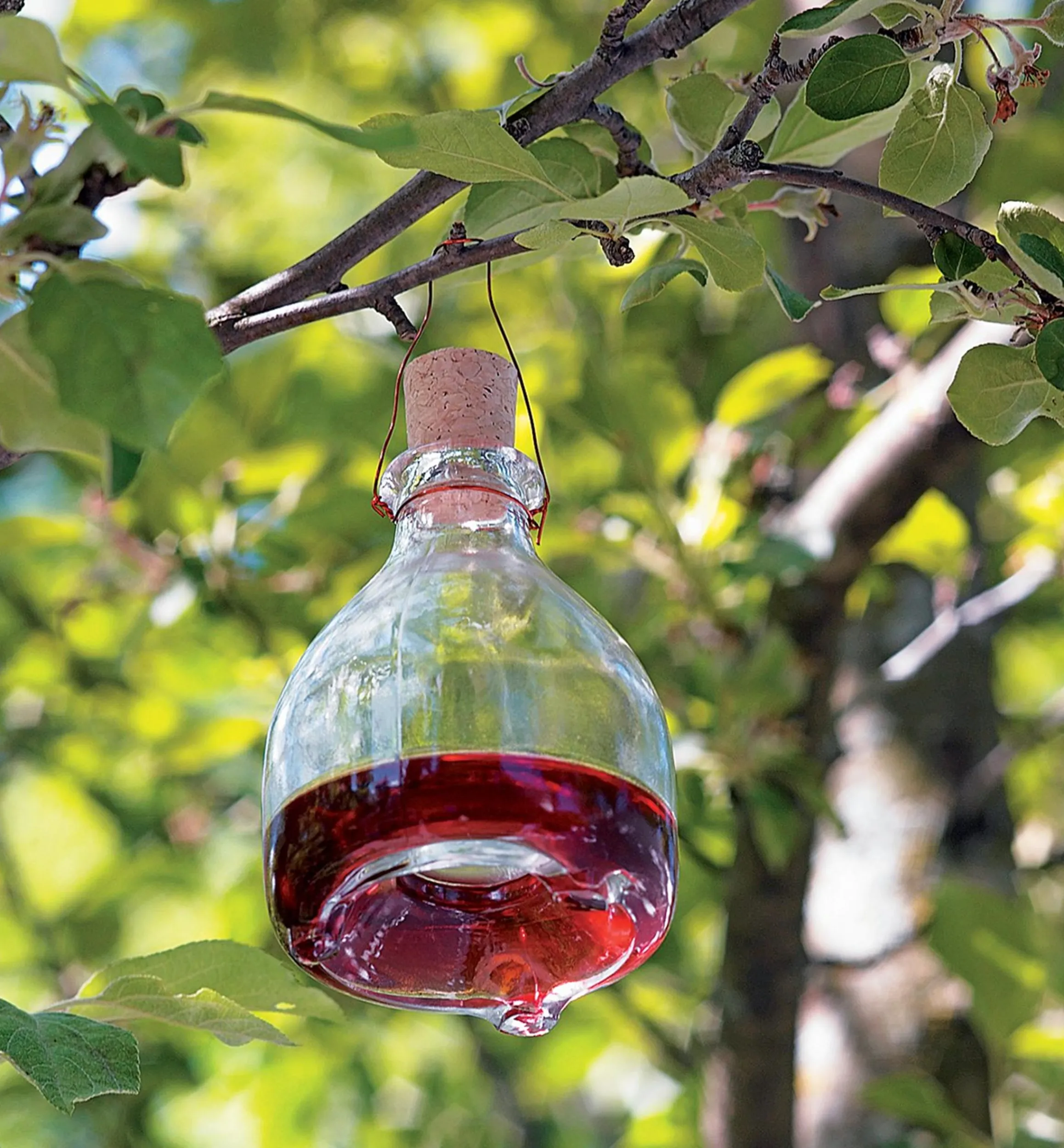 Lee Valley Pest Control>Hanging Wasp Trap