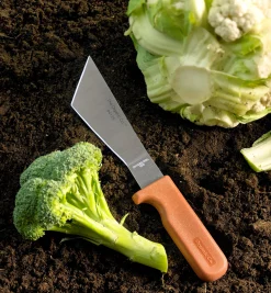 Lee Valley Harvesting><noscript><img width=