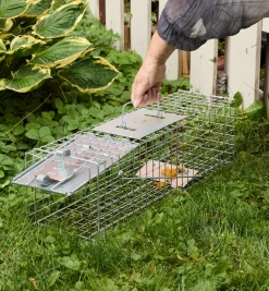 Lee Valley Pest Control><noscript><img width=