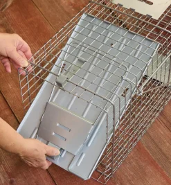 Lee Valley Pest Control><noscript><img width=