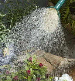 Lee Valley Indoor Gardening><noscript><img width=