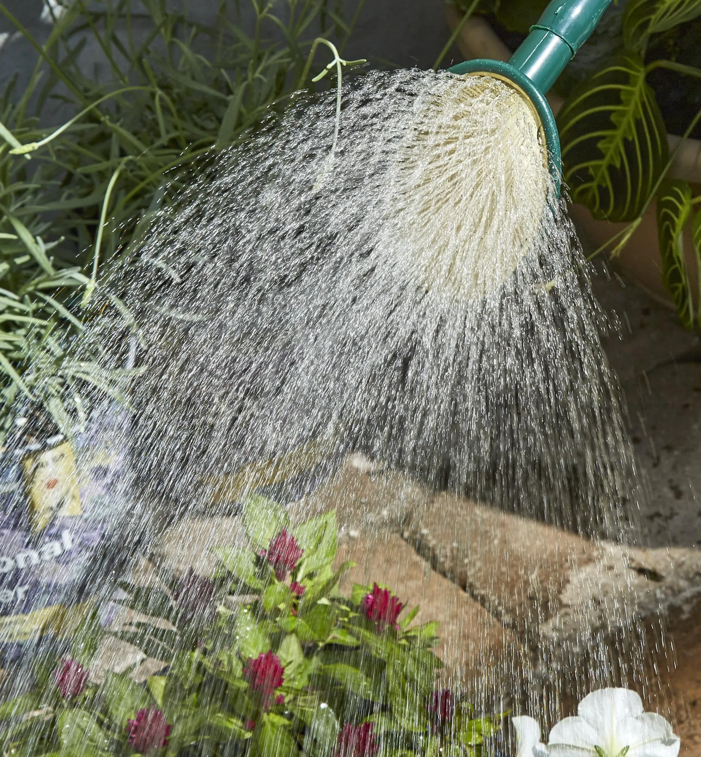 Lee Valley Indoor Gardening>Haws Plastic Watering Can