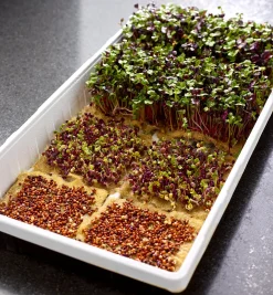 Lee Valley Seed Starting>Hemp-Fiber Grow Mats