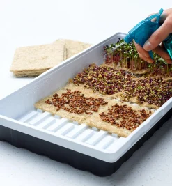 Lee Valley Seed Starting><noscript><img width=