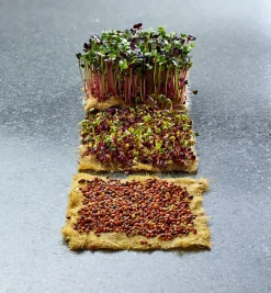 Lee Valley Seed Starting><noscript><img width=