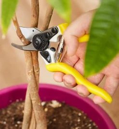 Lee Valley Pruners>High-Quality Bypass Pruner