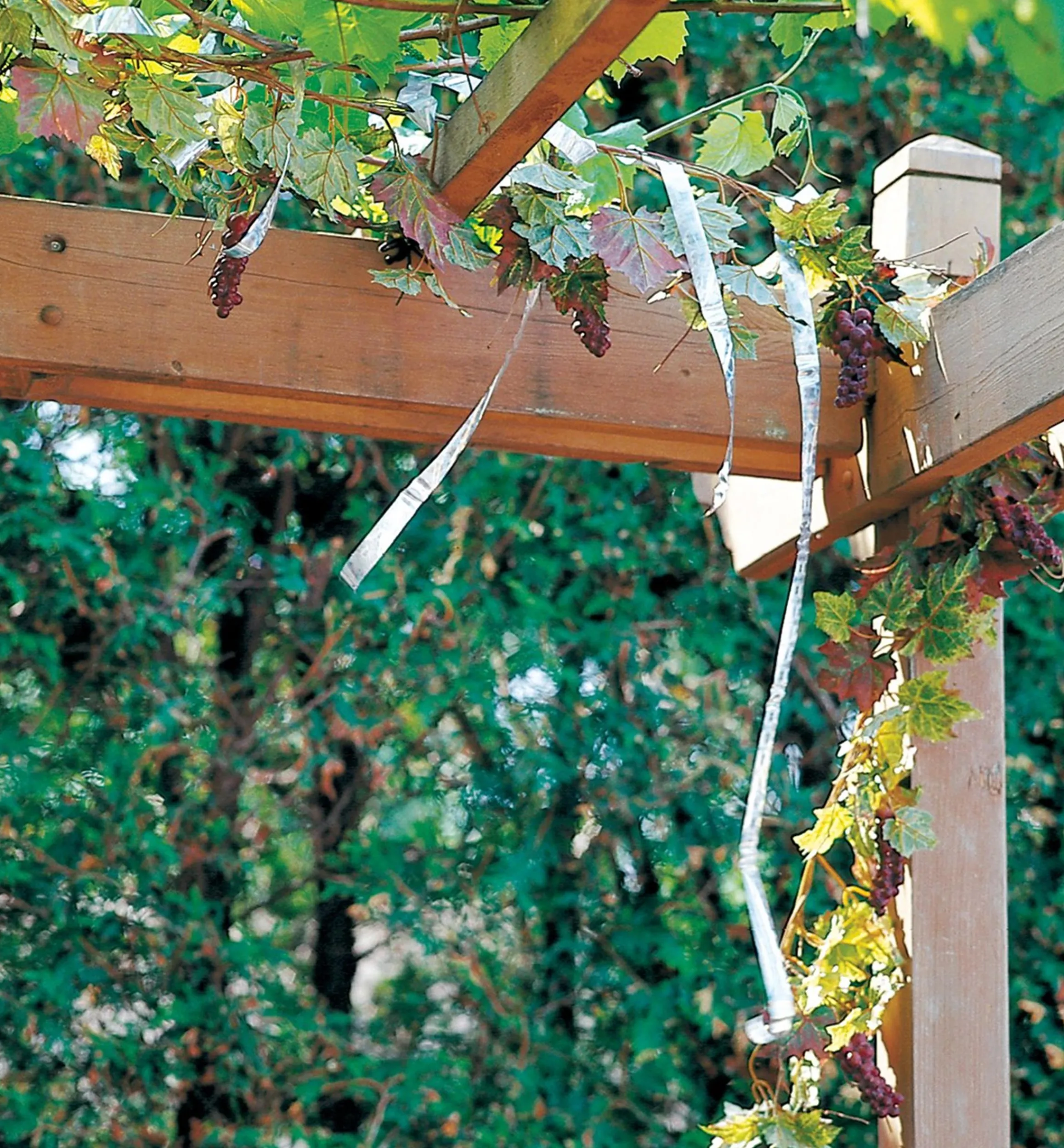 Lee Valley Pest Control>Holographic Scare Tape