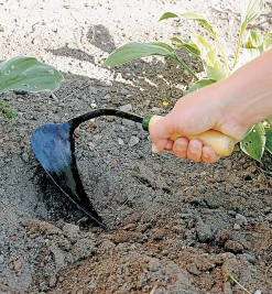 Lee Valley Weeding><noscript><img width=