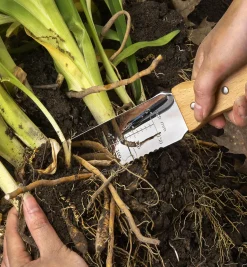 Lee Valley Garden Care>Hori Hori Knife