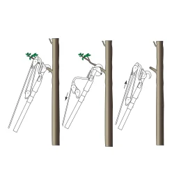 Lee Valley Pruners><noscript><img width=