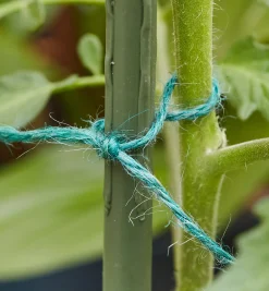 Lee Valley Ties & Clips>Jute Garden Twine