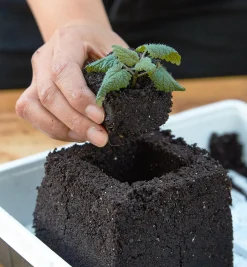 Lee Valley Seed Starting>Large Soil Blocker