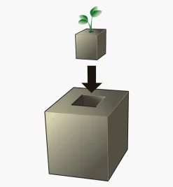 Lee Valley Seed Starting><noscript><img width=