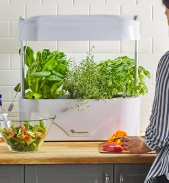 Lee Valley Grow Lights><noscript><img width=