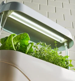 Lee Valley Grow Lights><noscript><img width=