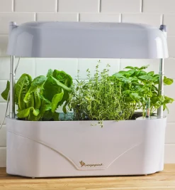 Lee Valley Grow Lights><noscript><img width=