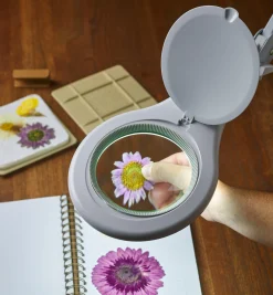 Lee Valley Lighting><noscript><img width=