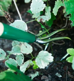 Lee Valley Weeding>Claw Cultivator
