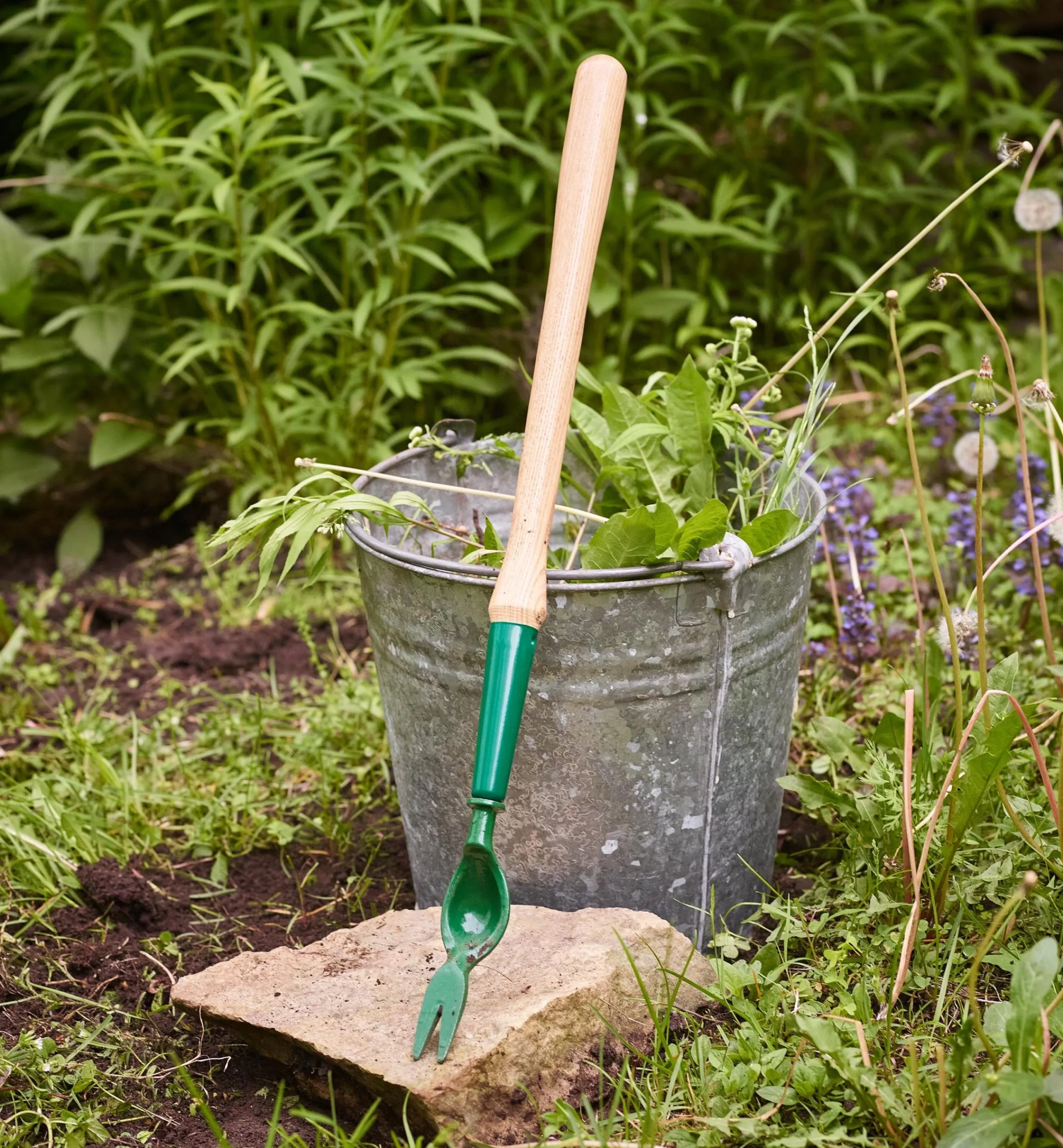 Lee Valley Weeding>Dandelion Diggers