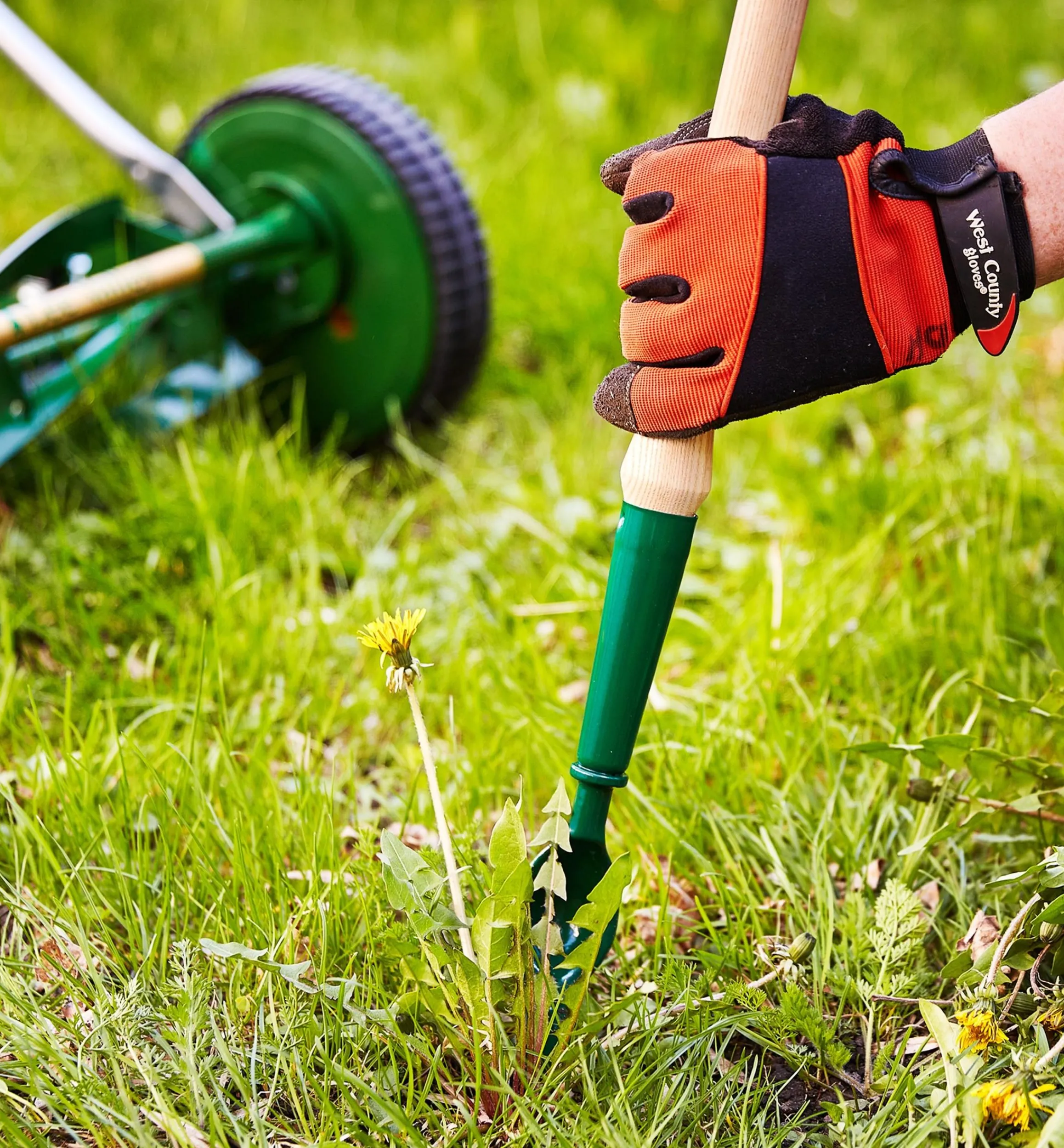 Lee Valley Weeding>Dandelion Diggers
