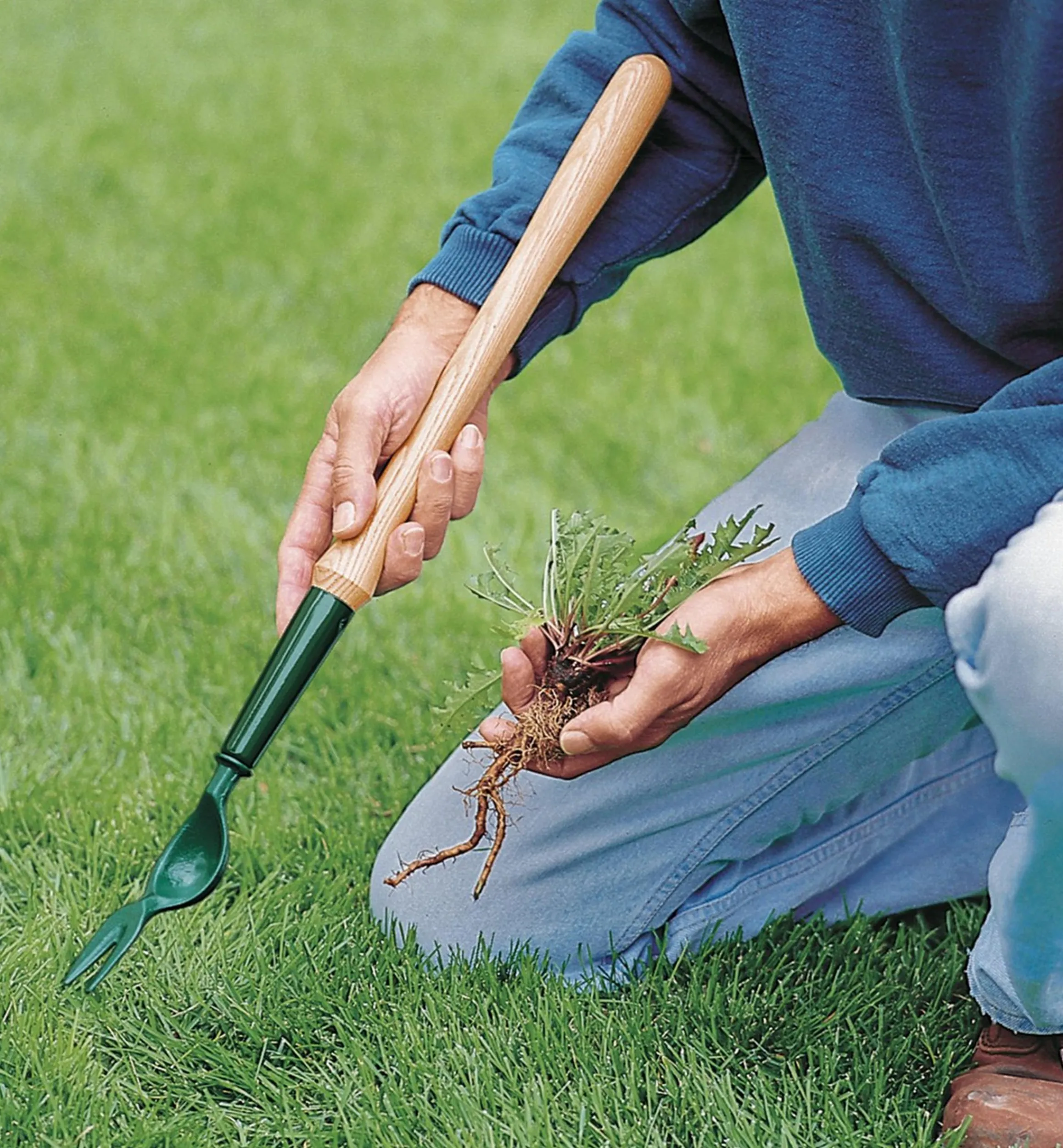 Lee Valley Weeding>Dandelion Diggers