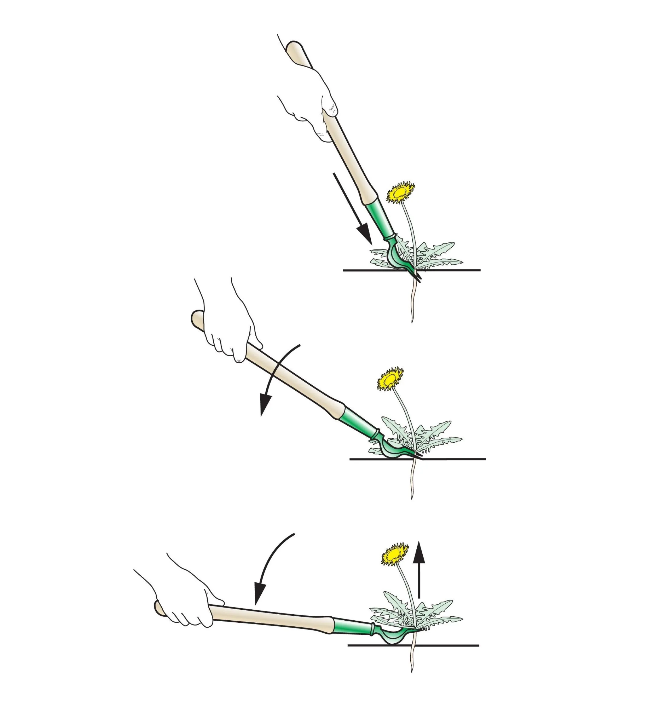 Lee Valley Weeding>Dandelion Diggers