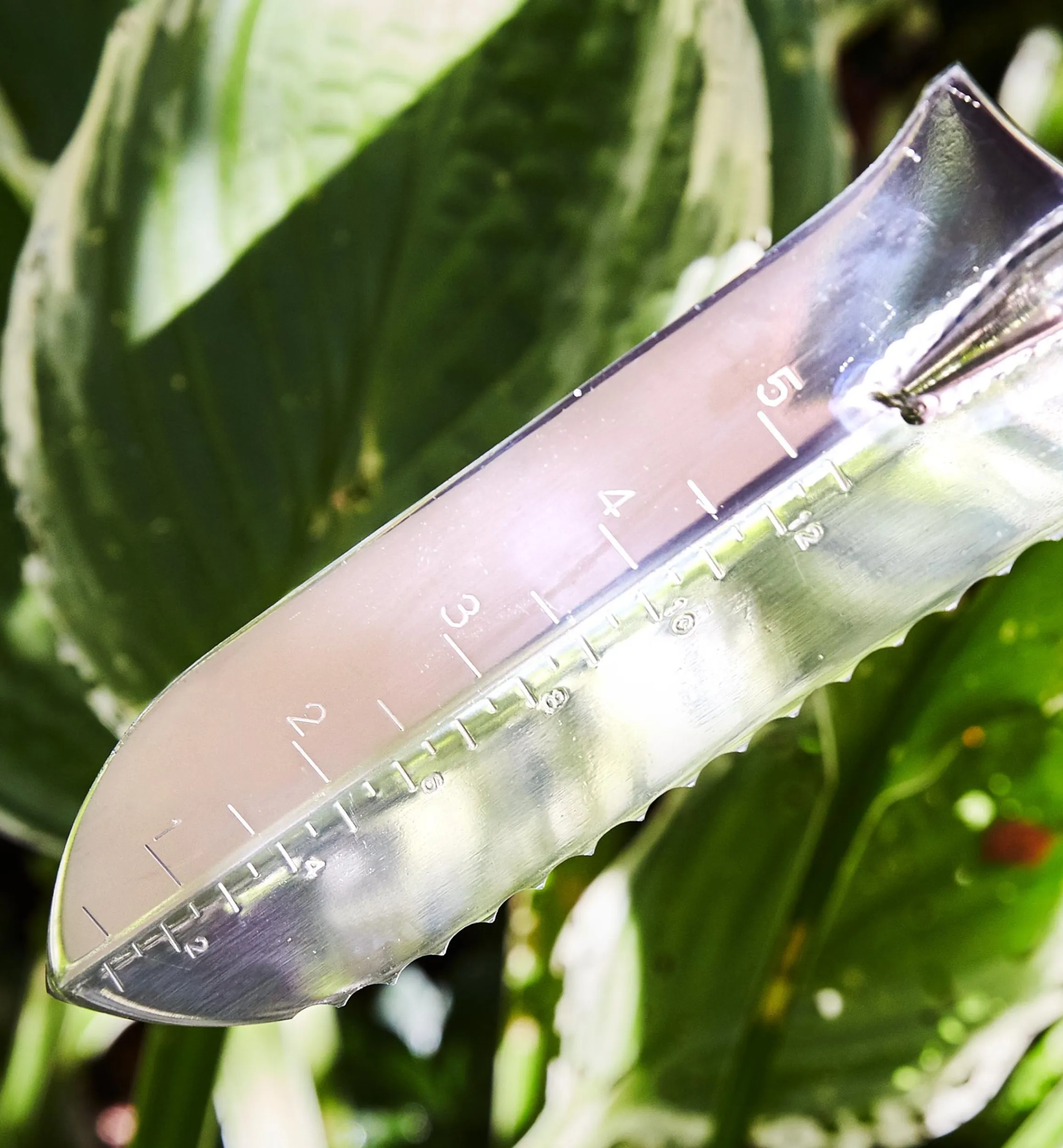 Lee Valley Weeding>Garden Knives