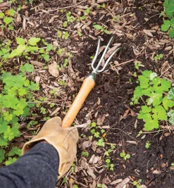 Lee Valley Weeding><noscript><img width=