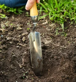 Lee Valley Trowels>Narrow Trowel