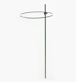 Lee Valley Stakes><noscript><img width=