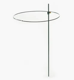 Lee Valley Stakes><noscript><img width=