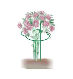 Lee Valley Stakes><noscript><img width=