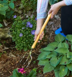 Lee Valley Harvesting>Perennial Fork
