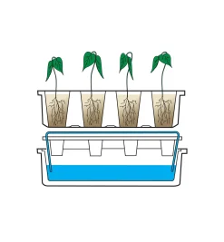 Lee Valley Seed Starting><noscript><img width=