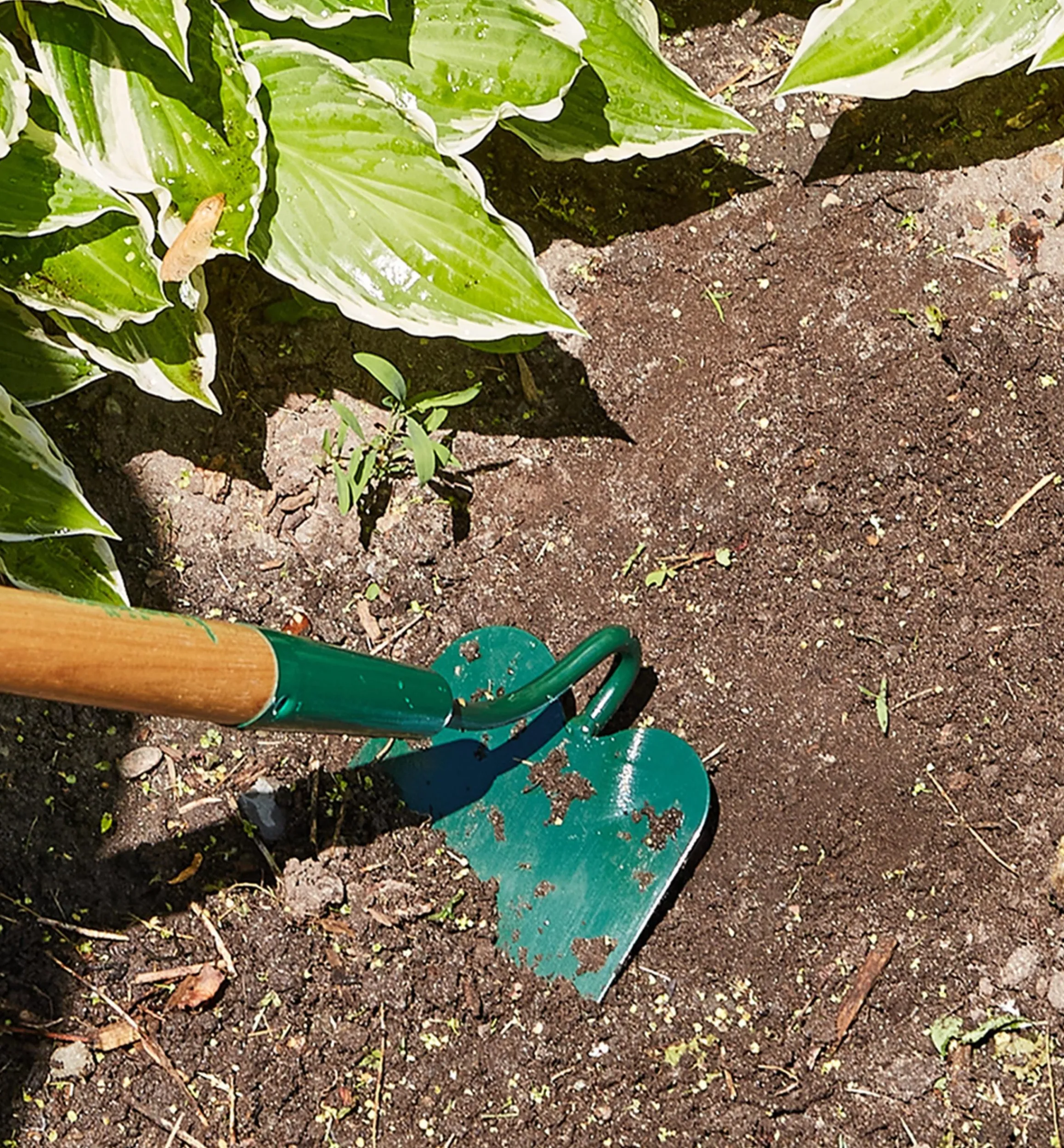 Lee Valley Weeding>Slim Draw Hoe