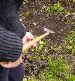 Lee Valley Weeding><noscript><img width=