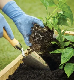 Lee Valley Trowels>Trowel