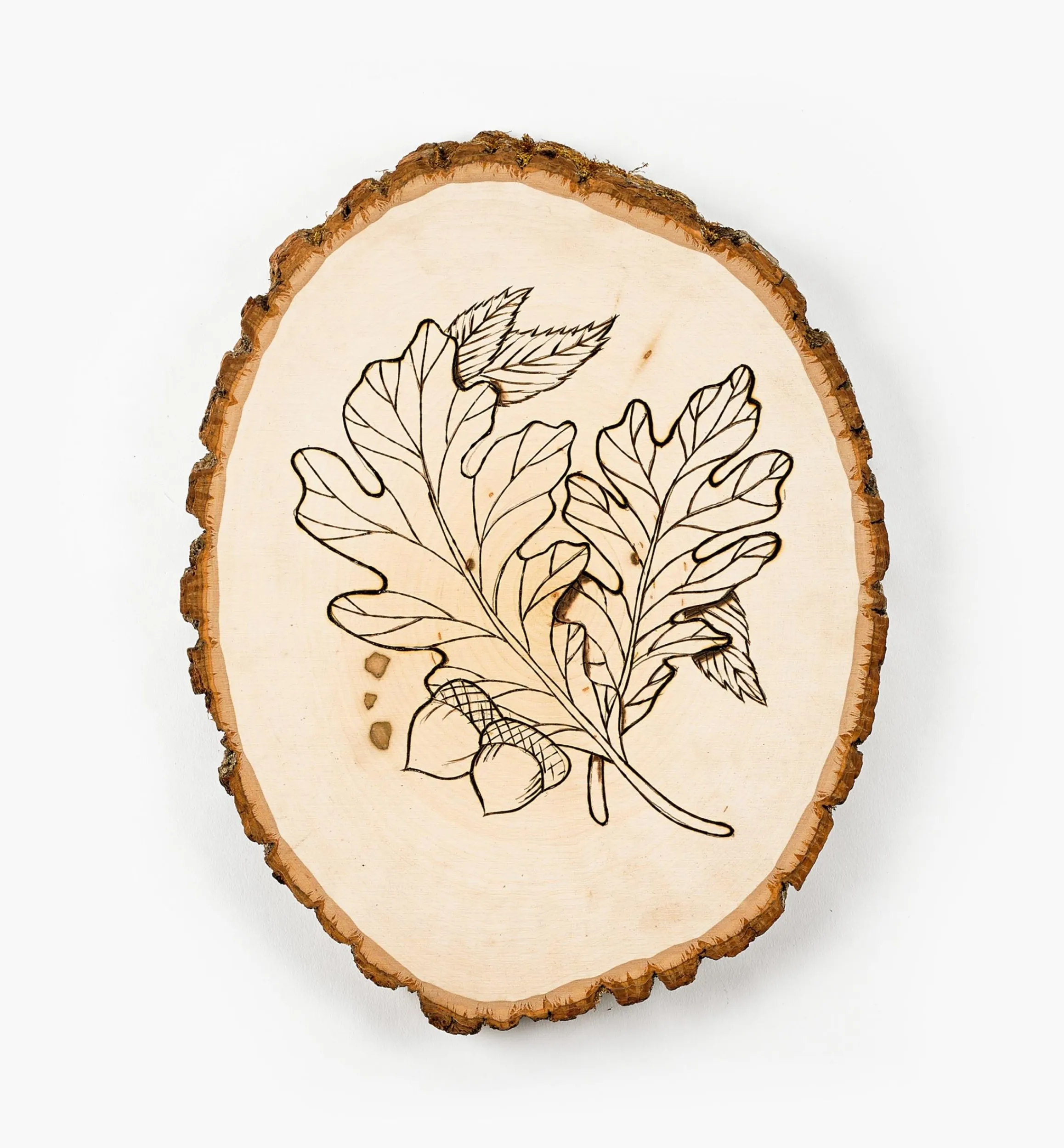 Lee Valley Supplies>Live-Edge Oval Basswood Plaques
