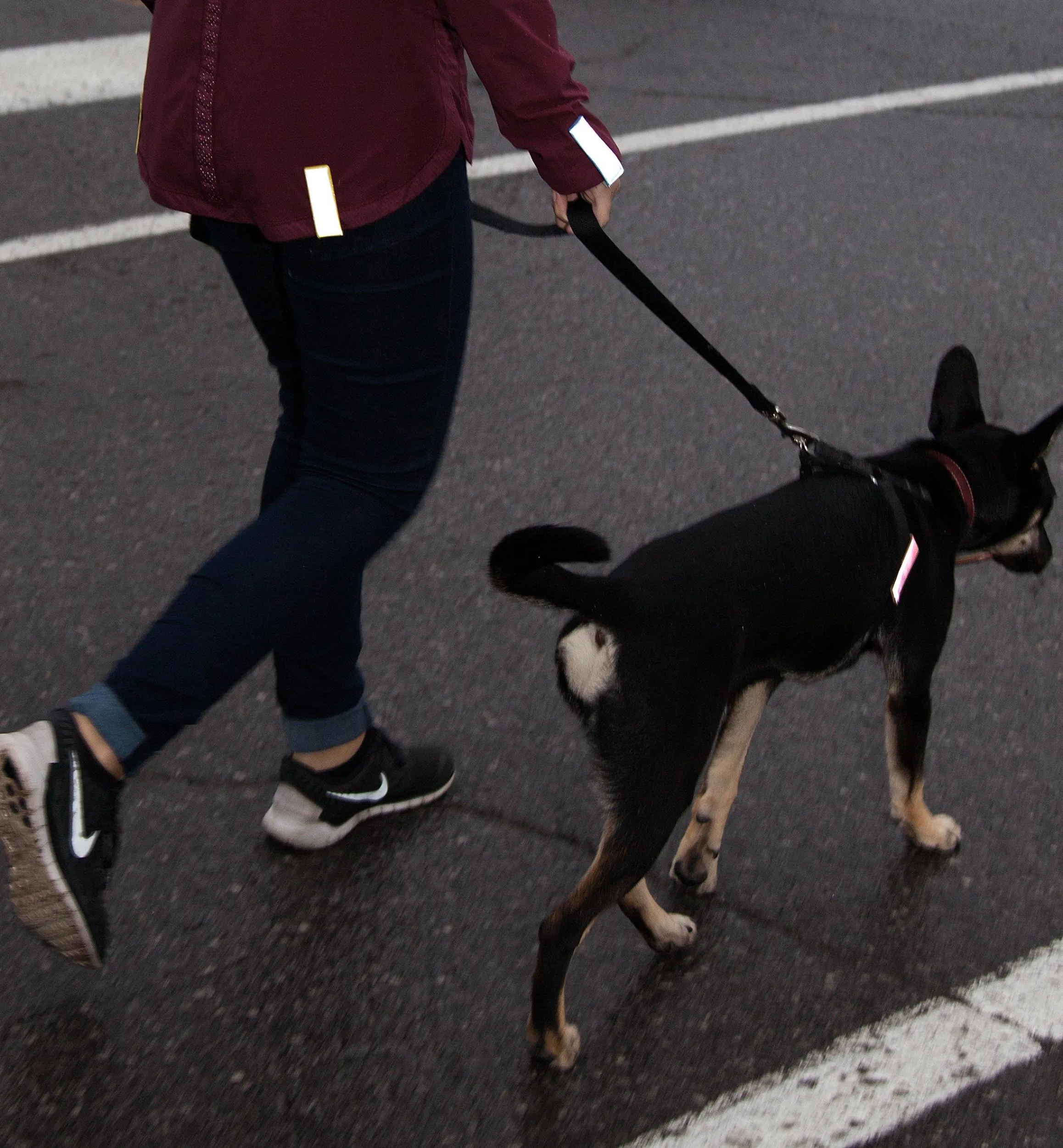 Lee Valley Personal Accessories>Magnetic Reflector Strips
